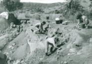 Escavações arqueológicas na Sala n.º 1