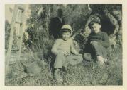 Retrato de crianças sentadas sob uma oliveira